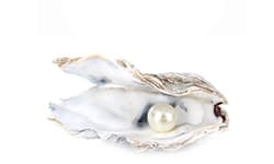 Pearl extract