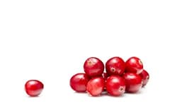 Cranberry extract 
