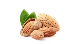 Sweet almond oil