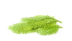 Green caviar extract